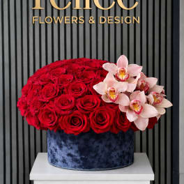 Red roses and pale pink orchids arranged in a blue velvet box