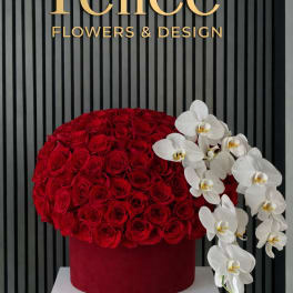 Red rose arrangement with white orchids in a velvet box