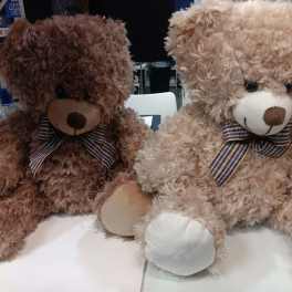 Two plush teddy bears with plaid bows sitting side by side