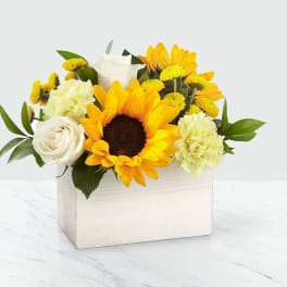 Sunflower and white rose arrangement in a white box
