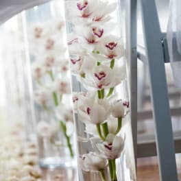 White orchids with purple centers arranged in a tall glass vase