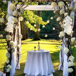 Birch Chuppah Artistically Arranged