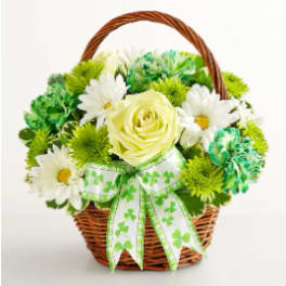 Basket of white daisies and a pale yellow rose with a shamrock ribbon