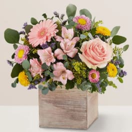 Mixed pink and yellow flowers in a wooden box