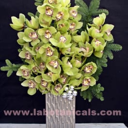 Green orchid arrangement in a tall silver vase with evergreen accents