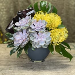 Succulent arrangement with yellow pincushion blooms in a dark vase