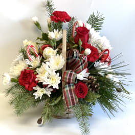 Holiday basket arrangement with red and white flowers, candy canes, and plaid ribbon