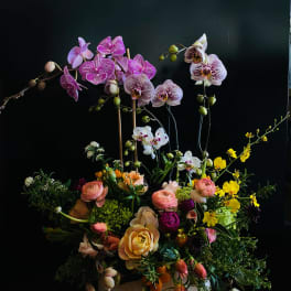Mixed floral arrangement with orchids, roses, and yellow blooms in a white bowl vase