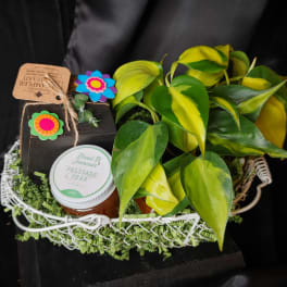 Gift basket with a potted plant, jam jar, and small decorative box