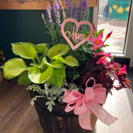 Mixed potted flowers and foliage in a dark wooden basket with pink ribbons.