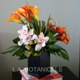 Orange calla lilies and white orchids in a black box arrangement