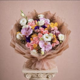 Cocoa blossom