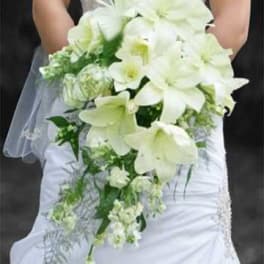 Bride holding a cascading white orchid bouquet