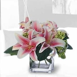 Pink lilies arranged in a clear square vase
