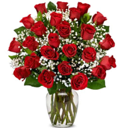 Bouquet of red roses and baby's breath in a clear glass vase