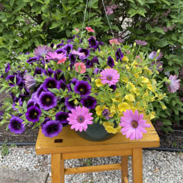 Mixed purple, pink, and yellow flowers in a green pot on a wooden stool