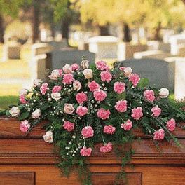Pink carnations and roses casket spray with trailing greenery in a cemetery setting