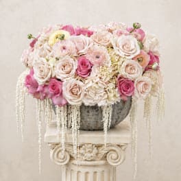 Blush cascade