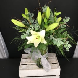 White lily arrangement in a glass vase with a sheer ribbon