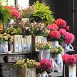 Display of colorful flower bouquets in buckets outside a shop