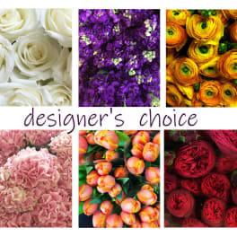 Collage of colorful flower close-ups with the words designer's choice.