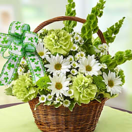 Green and white flower basket with daisies and a shamrock ribbon