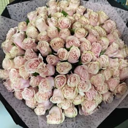 Large bouquet of pale pink roses wrapped in patterned paper