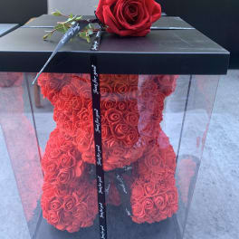 Red rose teddy bear in a clear box with a single rose on top
