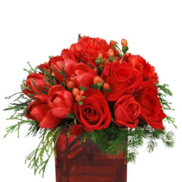 Low red arrangement of roses, carnations, and tulips in a red glass cube vase with red berries