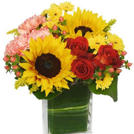 Compact arrangement of sunflowers, red roses, and mixed blooms in a clear rectangular glass vase with leaf wrap.