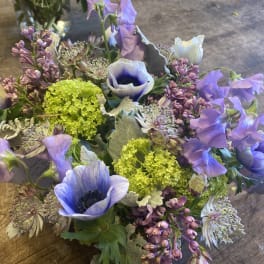 Bouquet of purple and white flowers with bright green accents