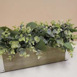 Rectangular planter filled with dense green foliage and eucalyptus-like leaves