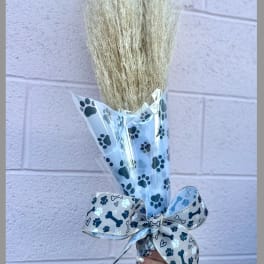 Bundle of dried pampas grass wrapped in paw-print cellophane with a bow