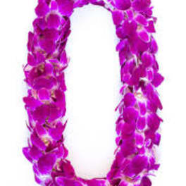 Purple orchid lei on a white background