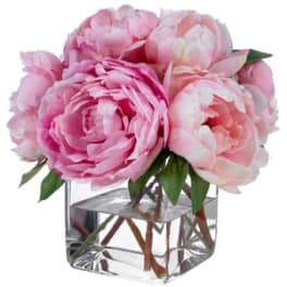 Pink peonies arranged in a clear square vase