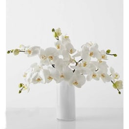 White orchid stems arranged in a tall white vase