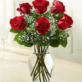 Red roses arranged in a clear glass vase