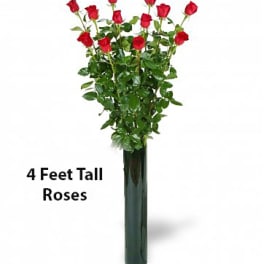 Tall arrangement of red roses in a dark vase