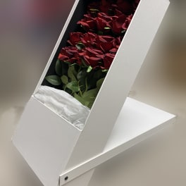 Red roses arranged in a white presentation box