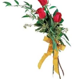 Bouquet of red roses with greenery and a yellow ribbon