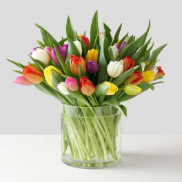Colorful tulips arranged in a clear glass vase