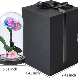 Rainbow rose under a glass dome beside a black gift box