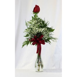 Single red rose in a clear glass vase with baby's breath and a red ribbon