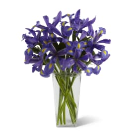 Purple iris bouquet in a clear glass vase