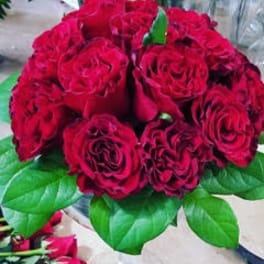Bouquet of deep red roses with green leaves
