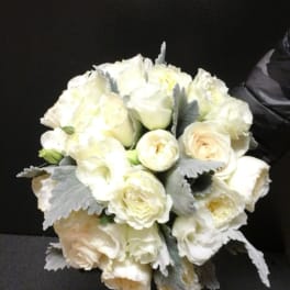 Bouquet of white roses with gray foliage on a dark background
