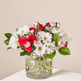 Pink carnations and white daisies in a clear glass vase
