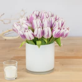 Short Stemmed Tulips