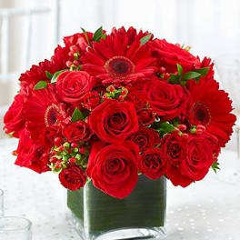 Red roses and gerbera daisies in a square glass vase