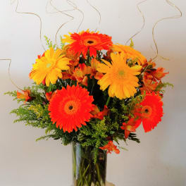 Bright orange and yellow gerbera daisies in a clear glass vase